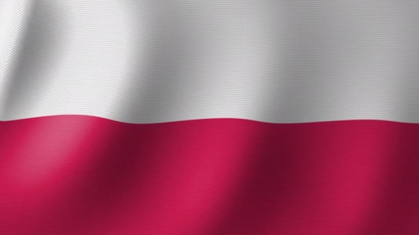 ポーランド国旗が風になびく シームレスなアニメーション3D — ストック動画