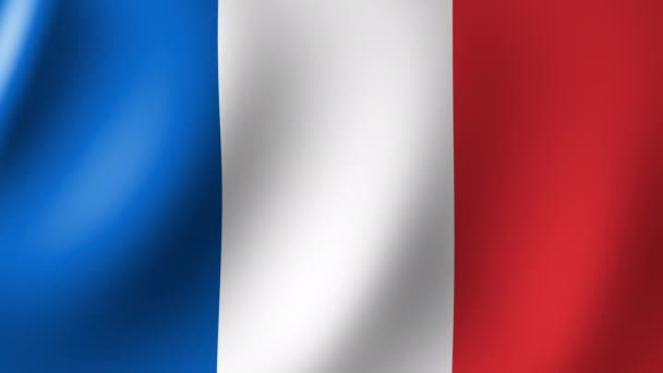 Die Französische Nationalflagge Flattert Wind Nahtlose Animation — Stockvideo