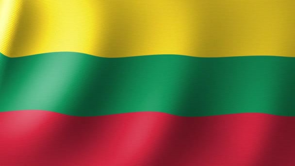 National Flag Lithuania Flutters Wind Seamless Animation — ストック動画