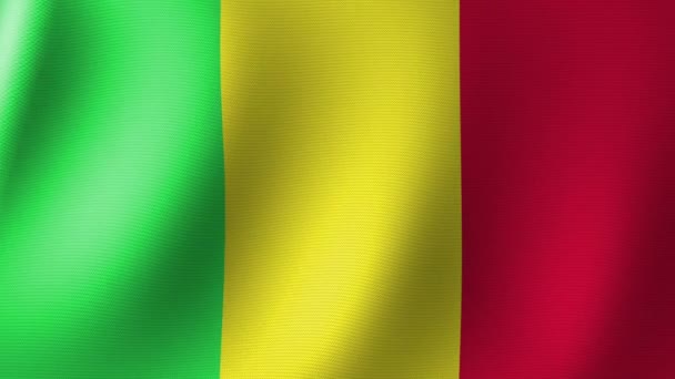 Bandeira Nacional Mali Flutua Vento Animação Sem Costura — Vídeo de Stock