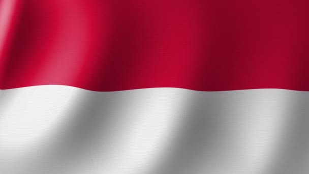 National Flag Monaco Flutters Wind Seamless Animation — 비디오