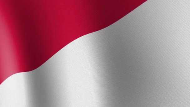 Monaco Nemzeti Zászlója Szélben Lebeg Zökkenőmentes Animáció — Stock videók