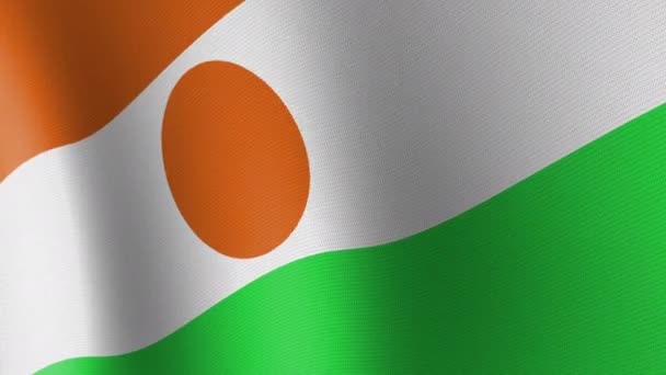 National Flag Niger Flying Wind Seamless Animation — Stok video