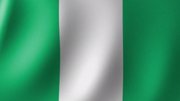 National Flag Nigeria Waving Wind Seamless Animation — ストック動画
