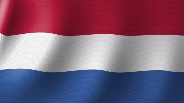 National Flag Netherlands Flutters Wind Seamless Animation — ストック動画