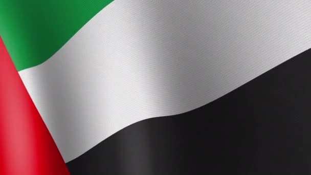 National Flag United Arab Emirates Flutters Wind Seamless Animation — Stock videók