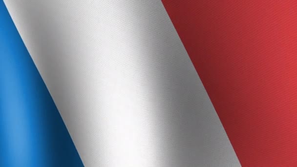 Flaga Francji Trzepocze Wietrze Bezproblemowa Animacja — Wideo stockowe