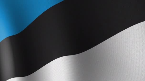 National Flag Estonia Flutters Wind Seamless Animation — Stock Video