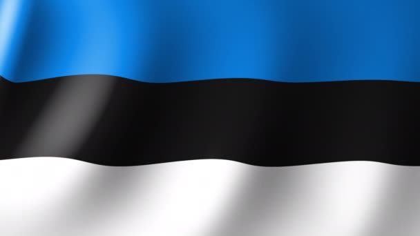 National Flag Estonia Flutters Wind Seamless Animation — Vídeo de stock