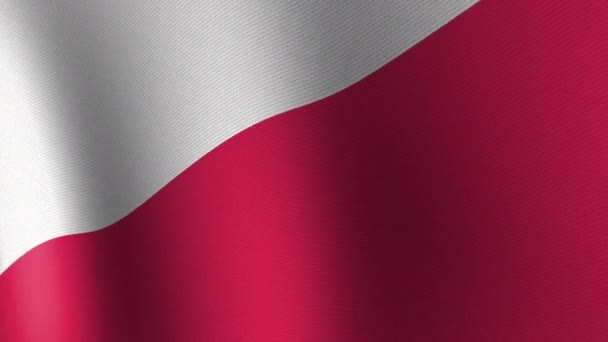 Σημαία Της Πολωνίας Κυματίζει Αργά Στον Άνεμο Απρόσκοπτη Κίνηση — Αρχείο Βίντεο