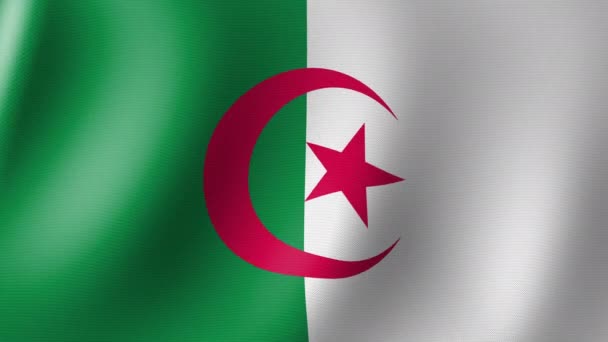 Σημαία Της Αλγερίας Κυματίζει Αργά Στον Άνεμο Απρόσκοπτη Κίνηση — Αρχείο Βίντεο
