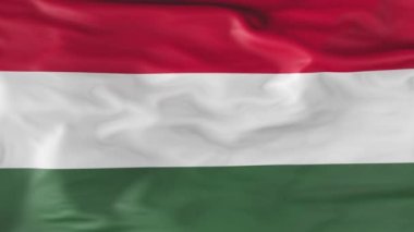 The flag of Hungary is slowly fluttering in the wind. Animation 3d