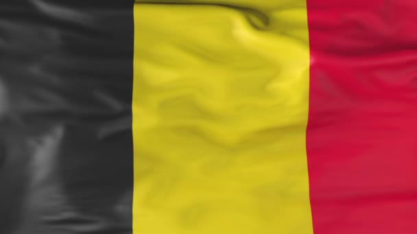 Flag Belgium Slowly Fluttering Wind Animation — Stock videók