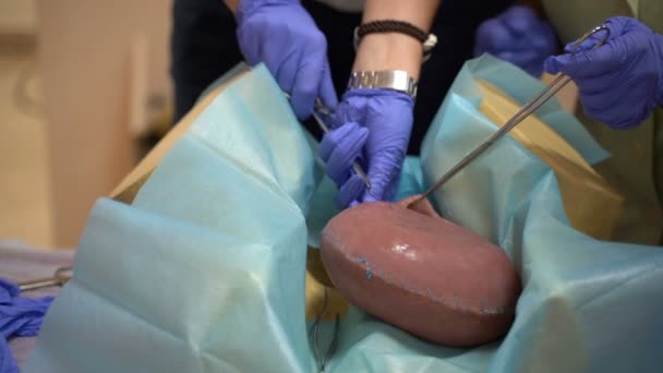 Training Surgeon Students Mannequins Female Uterus Sutured Medical Instruments — Stok video