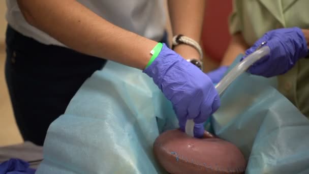Training Surgeon Students Mannequins Female Uterus Sutured Medical Instruments — Wideo stockowe