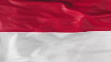 he flag of Monaco is slowly fluttering in the wind. Animation 3d