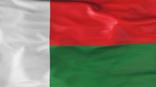 Madagascar Flag Slowly Fluttering Wind Animation — Stockvideo