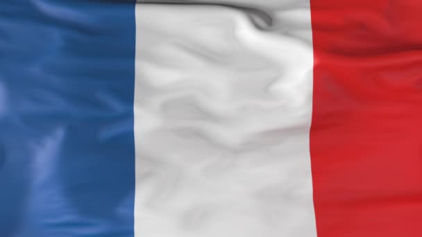 Прапор Франції Повільно Пурхає Вітром Анімація — стокове відео