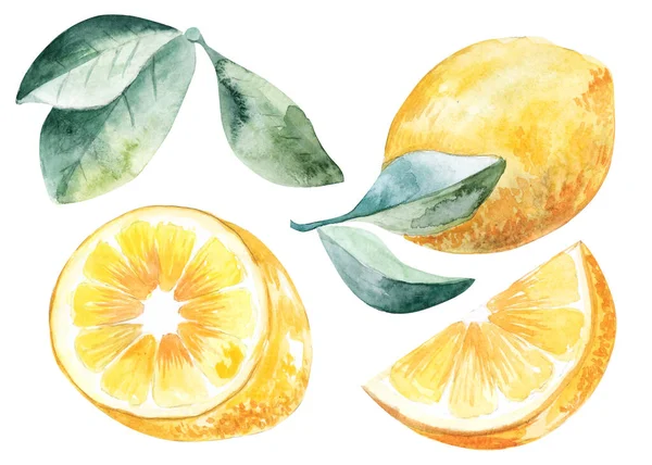 Набір лимонів. Ілюстрація аквафлору намальована рукою Барвисті жовті фрукти і зелене листя — стокове фото