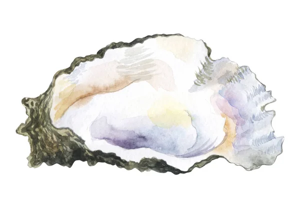 Akwarela ostryga bez perły w nim akwarela ilustracja — Zdjęcie stockowe