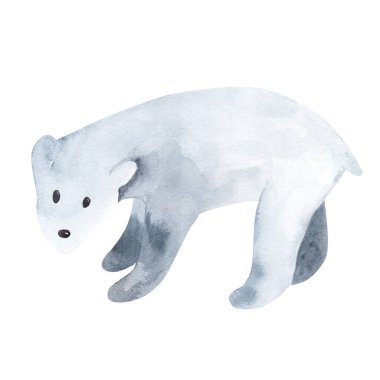 Suluboya ayı seti. Yıldız ve Ay burada 