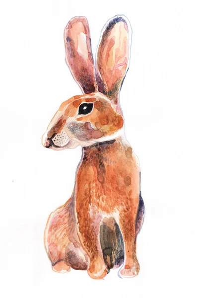 Akwarelowa ilustracja królika, królika, włosów. Symbol roku. Symbol roku. 2023 chiński nowy kalendarz — Zdjęcie stockowe
