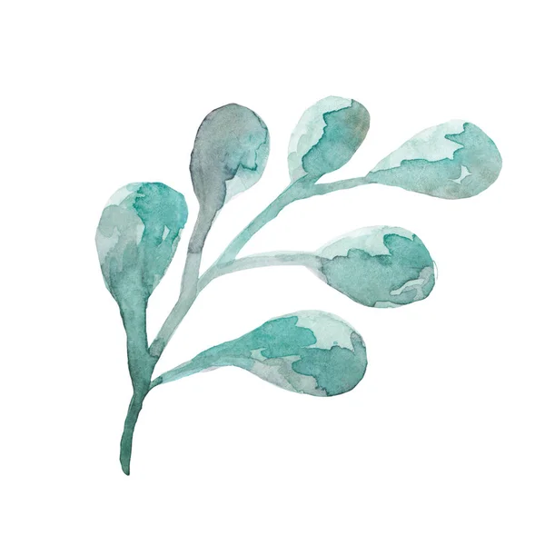 Streszczenie zielony akwarela liść lub brunch ilustracja turquiose — Zdjęcie stockowe