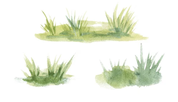 Abstract groen gras illustraties aquarel concepten verschillende — Stockfoto