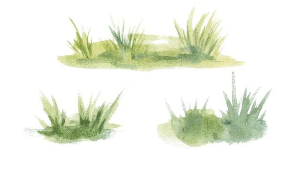 Абстрактні зелені трав'яні ілюстрації акварельні концепції різні Стокове Зображення
