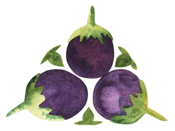 Баклажани акварельні овочі. трикутник ілюстрація візерунок фіолетового зеленого баклажана — стокове фото