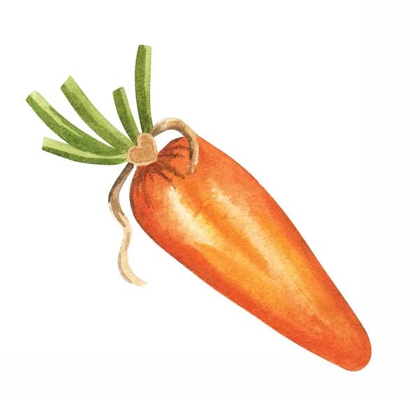 Великодня морква текстильні іграшки. Акварель Великдень. Акварельна рука намальована ботанічною ілюстрацією. Вінтажні іграшки ручної роботи . — стокове фото