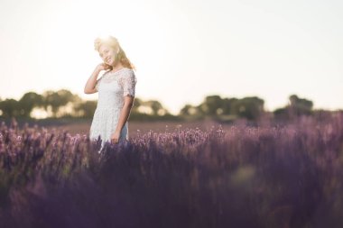 Rahatlamak için mor ve mor aromatik ilaç esansı. Guadalajara Brihuega 'da gündoğumu çiçekleri, Castilla la la mancha 