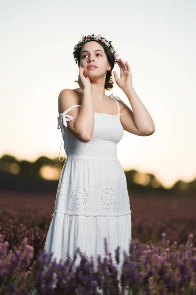 Landschap Provence Zonsondergang Bloeiende Kruiden Aroma Geur Essentie Zonsopgang Guadalajara — Stockfoto