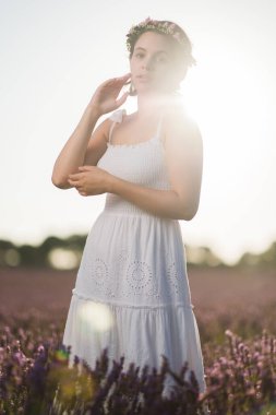 Mor ve menekşe aromalı güzel çiçekler. Guadalajara Castilla la la mancha 'da rahatla ve çiçek al.