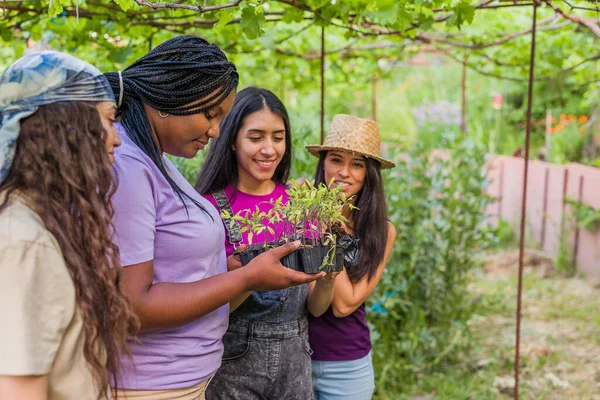 young Latin group together horticulture gardening in greenhouse. harvesting for environment in summer and spring season. diversity friendship
