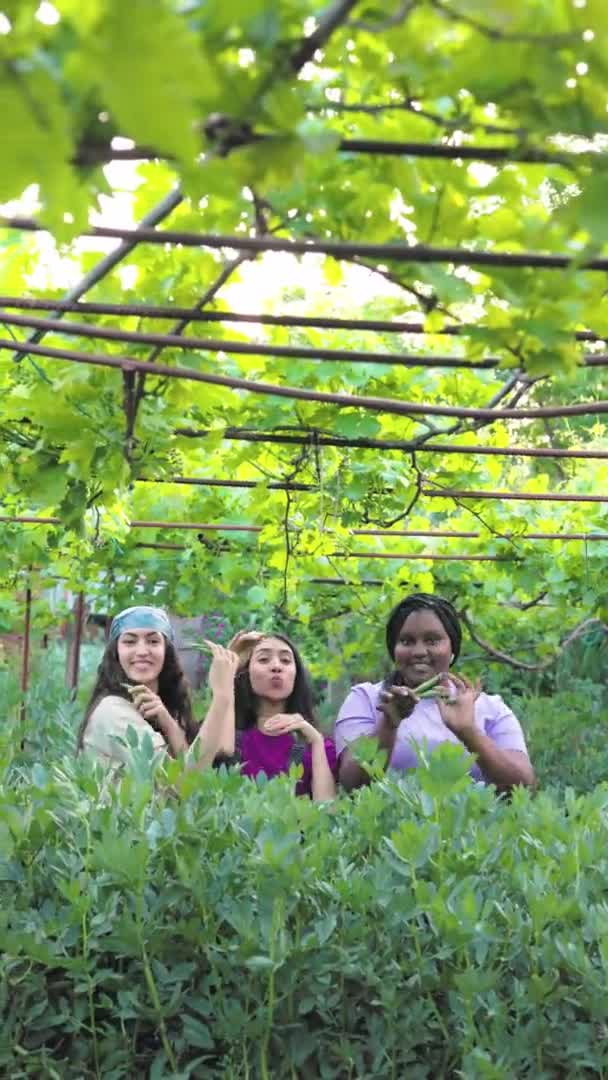Gartenbauökologie Tanzt Für Eine Nachhaltige Umwelt Mit Biolebensmitteln Ernte Freien — Stockvideo