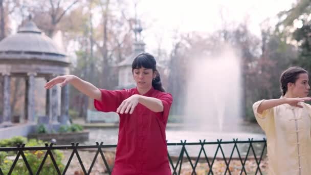 Health Woman Exercise Kung Wushu Outdoors Garden Healthy Taiji Energy — Videoclip de stoc