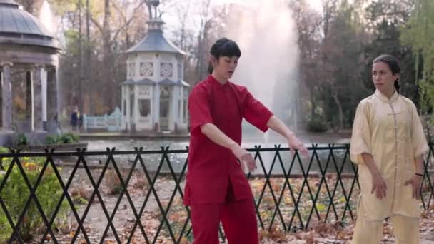 Health Woman Exercise Kung Wushu Outdoors Garden Healthy Taiji Energy — Video