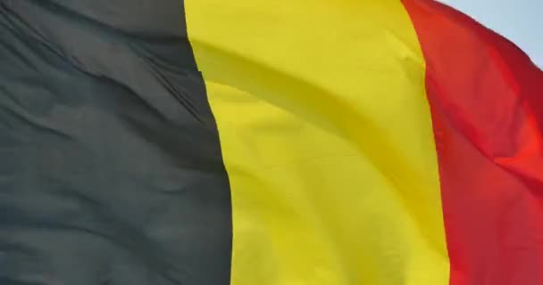 4k Bandeira belga está agitando no vento . — Vídeo de Stock