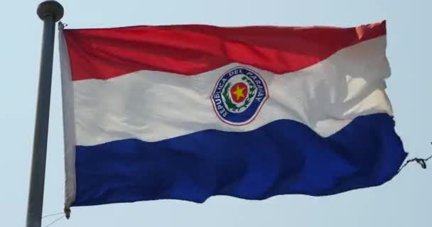 Bandera 4k Paraguay ondea en el viento . — Vídeos de Stock