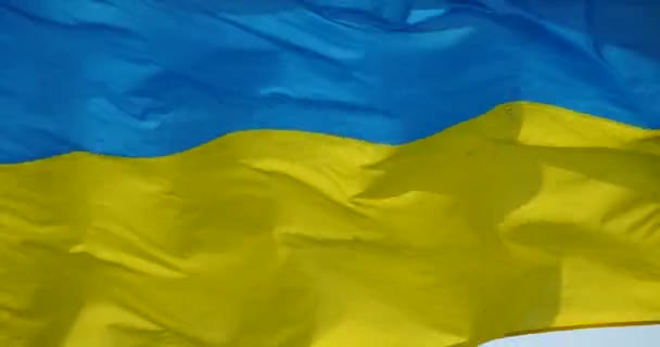 Drapeau Ukraine 4k flotte dans le vent . — Video