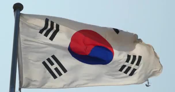 4k bandiera coreana sta svolazzando nel vento . — Video Stock