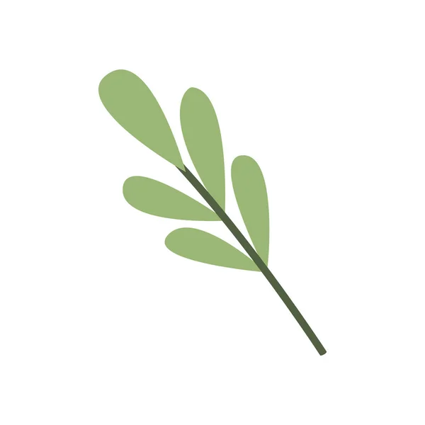 Симпатичная Зеленая Веточка Стиле Дудла Простая Плоская Осенняя Икона Стилизованный — стоковый вектор