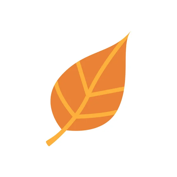 Симпатичный Осенний Опавший Оранжевый Лист Осенний Клипарт Элемент Дизайна Поздравительной — стоковый вектор