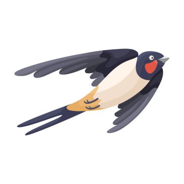 Cartoon flying swallow in flat style. Cute colorful city bird. Isolated element for design. Picture for educational childrens book and ornithological encyclopedia. A common European bird. Simple icon