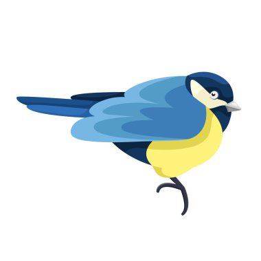 Cartoon blue tit in flat style. Common European bird. Simple icon. Cute colorful city bird. Isolated element for design. Picture for educational childrens book and ornithological encyclopedia.