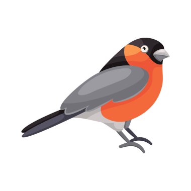 Cartoon sitting bullfinch in flat style. Cute colorful city bird. Isolated element for design. Picture for educational childrens book and ornithological encyclopedia. Common European bird.