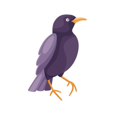 Cartoon standing thrush in flat style. Cute colorful city bird. Isolated element for design. Picture for educational childrens book and ornithological encyclopedia. Common European bird. Simple icon.