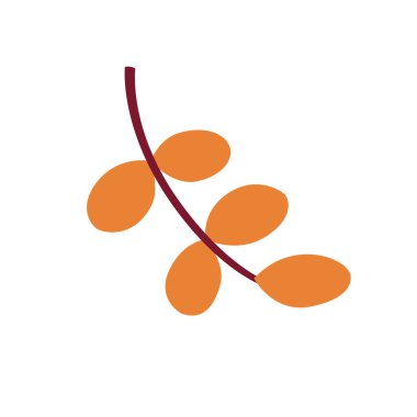 Sonbahar portakal yaprağı. Mevsimsel tasarım için basit bir klişe. Akasya 'nın düşmüş bir dalı. Hasat festivali için dekoratif unsur, Cadılar Bayramı, Şükran Günü.