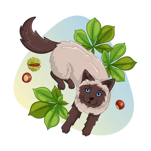 Σιαμαία Γάτα Φύλλα Κάστανου Ωραία Εικονογράφηση Κινουμένων Σχεδίων Όμορφο Έτοιμο — Διανυσματικό Αρχείο